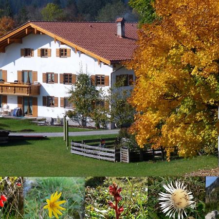 Ferienwohnungen Hennenmuehle Bad Hindelang Buitenkant foto