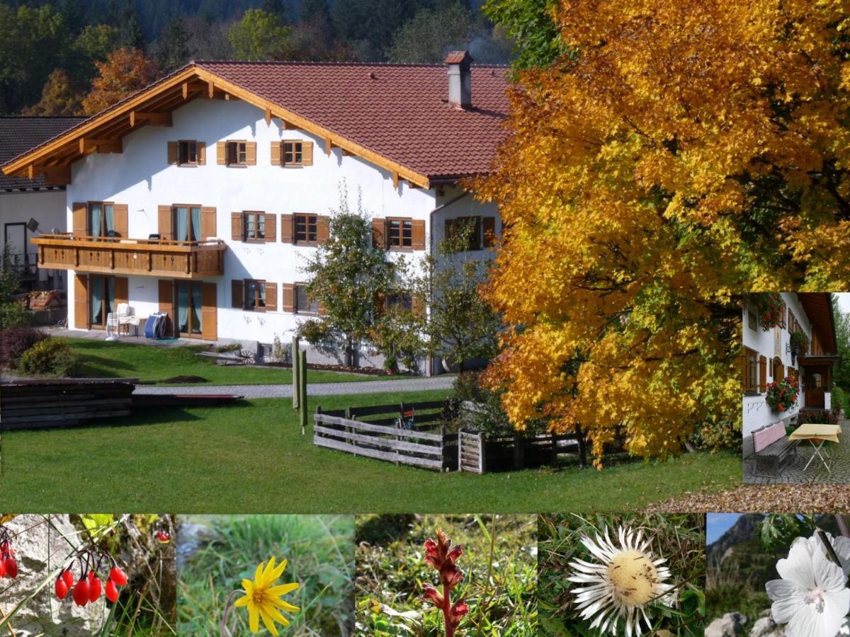 Ferienwohnungen Hennenmuehle Bad Hindelang Buitenkant foto
